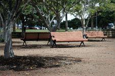 Hungarian couple assaulted in Funchal park